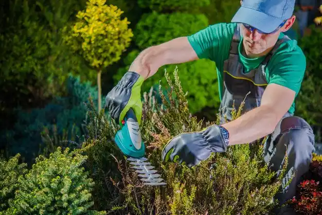 landscaping services Eden Isle